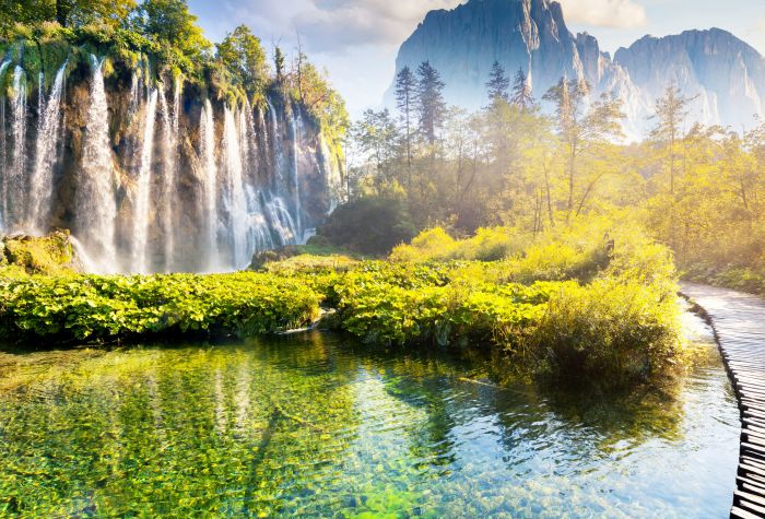 Картинка водопад, зеленые кустарники, деревья и скалы