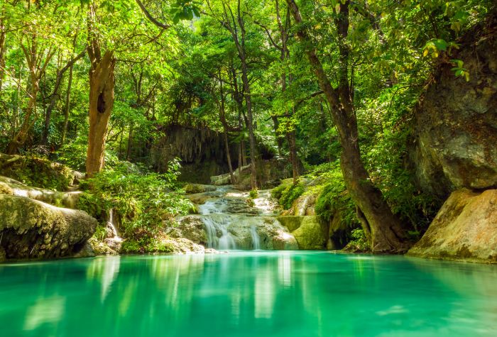 Картинка ручей, маленький водопад в зеленых джунглях