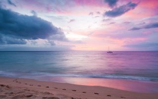 красивый розовый закат на пляже