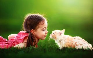 маленькая девочка с котенком лежат на зеленой траве