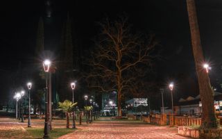 парк в Абхазии ночью