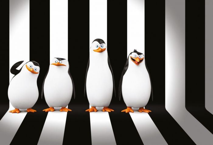 Картинка прикольные пингвины Мадагаскара из мультфильма