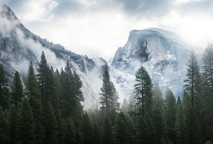 Картинка величественная природа, горы, скалы, лес в тумане