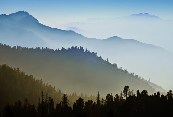 Картинка лес, холмы, горный хребет, туман, природа