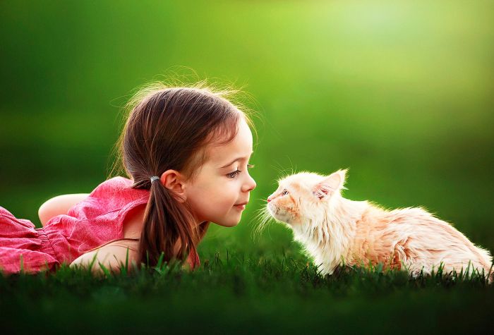 Картинка маленькая девочка с котенком лежат на зеленой траве