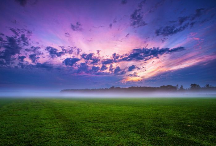 Картинка поле окутанное туманом, дымкой, на закате в облаках