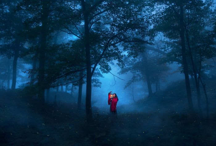 Картинка девушка в темном дремучем лесу