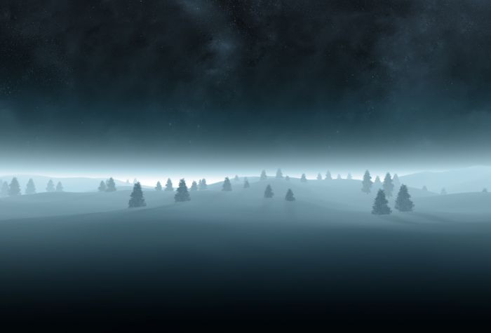 Картинка елки, лес, сугробы снега, туман, зимний вечер