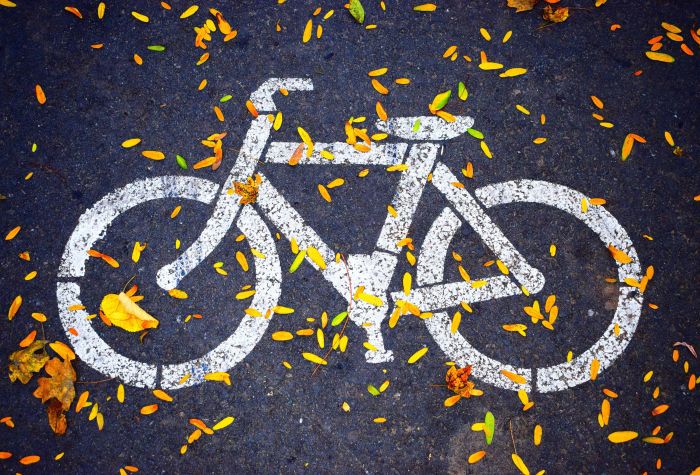Картинка велосипедная дорожка, асфальт покрытый осенними листьями