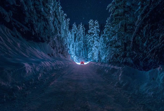 Картинка заснеженная дорога через зимний лес, ночь, сугробы снега