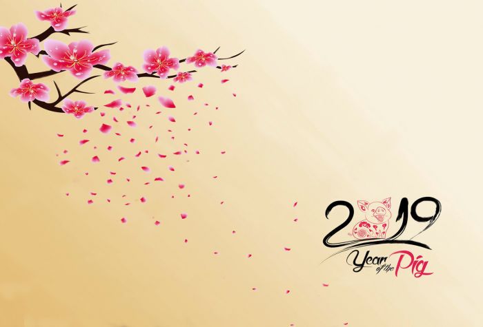 Картинка красивая сакура, новый год 2019, год свиньи, кабана