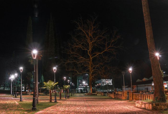Картинка парк в Абхазии ночью