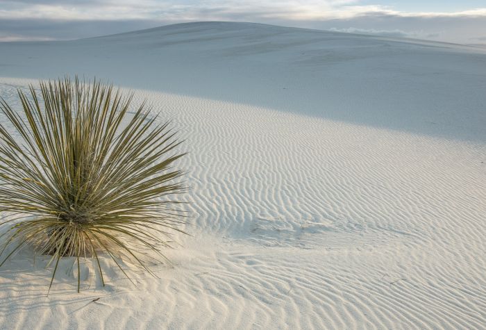 Картинка пустыня Сан-Мигель