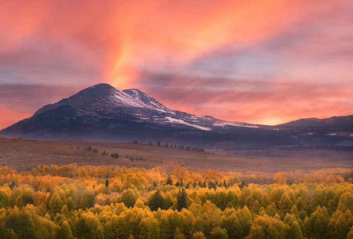 Картинка осенний лес на фоне высоких гор на закате солнца