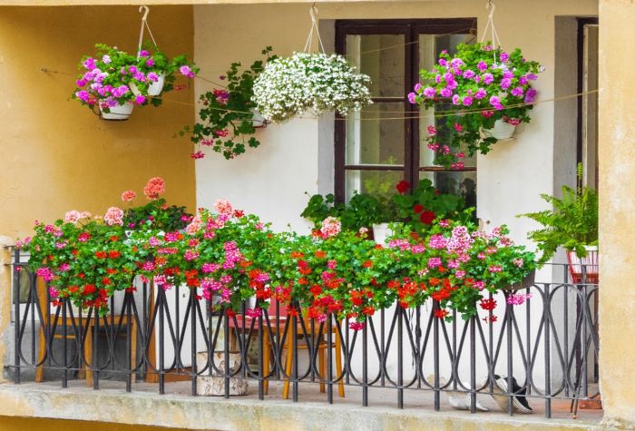 Картинка красивые цветы на балконе фото экстерьера