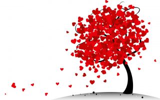 сердечки на дереве, любовь, День Святого Валентина