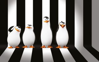 прикольные пингвины Мадагаскара из мультфильма