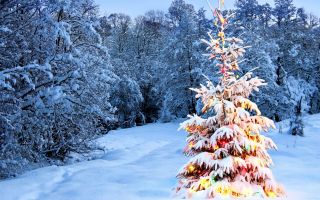 украшенная гирляндами новогодняя елка в зимнем лесу
