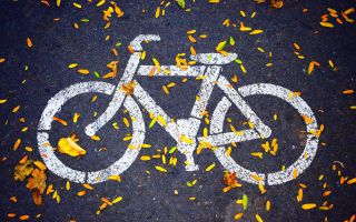велосипедная дорожка, асфальт покрытый осенними листьями
