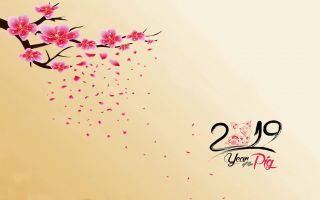 красивая сакура, новый год 2019, год свиньи, кабана